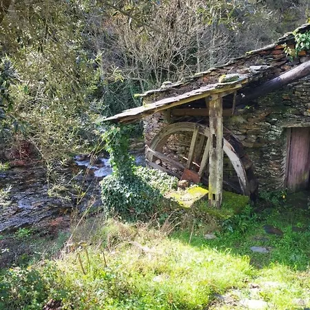 Casa Do Salgueirinho