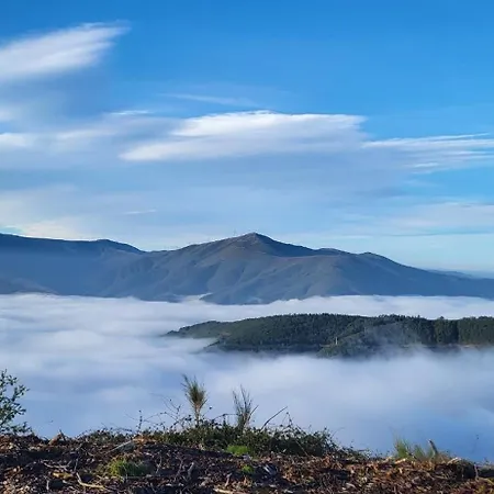 Hébergement de vacances Casa Do Salgueirinho *
