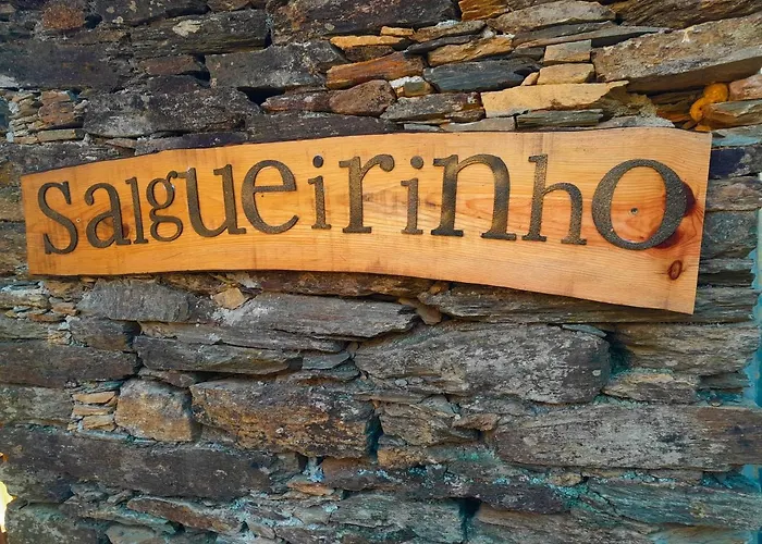 Hébergement de vacances Casa Do Salgueirinho