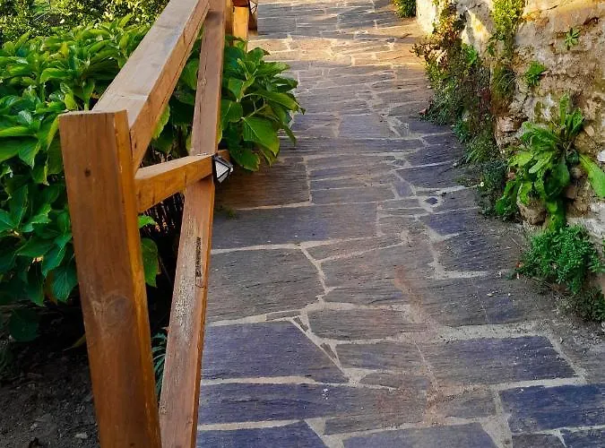 Hébergement de vacances Casa Do Salgueirinho