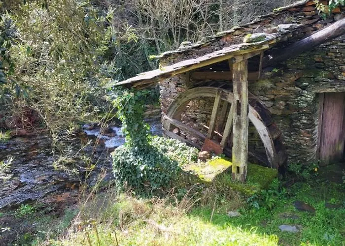 Casa Do Salgueirinho