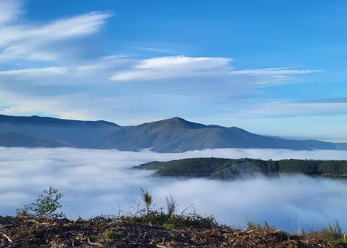 Hébergement de vacances Casa Do Salgueirinho *